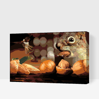 Maľovanie podľa čísiel - Veverička a vtáčik Veľkosť: 60x80cm, Rám: Bez rámu, iba plátno