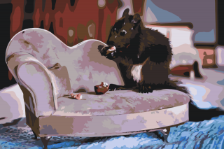 Maľovanie podľa čísiel - Veverička na gauči Veľkosť: 60x80cm, Rám: Bez rámu, iba plátno