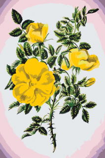 Maľovanie podľa čísiel - Vintage kvety III Veľkosť: 40x60cm, Rám: Bez rámu, iba plátno