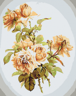 Maľovanie podľa čísiel - Vintage kvety IV Veľkosť: 40x50cm, Rám: Bez rámu, iba plátno