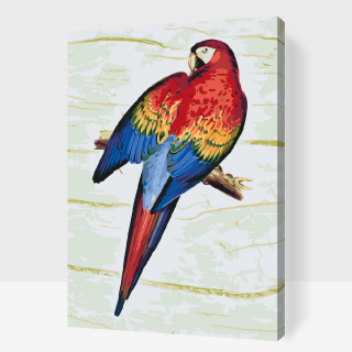 Maľovanie podľa čísiel - Vintage papagáj 2 Veľkosť: 40x60cm, Rám: S vnútorným rámom