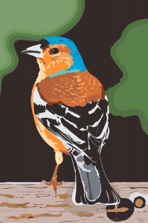 Maľovanie podľa čísiel - Vták na dreve Veľkosť: 40x60cm, Rám: Bez rámu, iba plátno