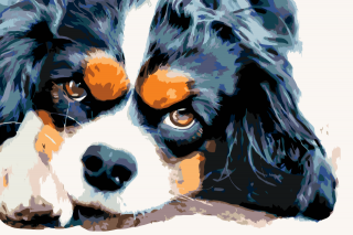 Maľovanie podľa čísiel - Zamyslený psík Veľkosť: 60x80cm, Rám: Bez rámu, iba plátno