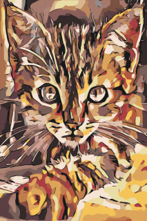 Maľovanie podľa čísiel - Zvedavé mačiatko Veľkosť: 60x80cm, Rám: Bez rámu, iba plátno