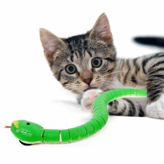 Hračka pre mačky - had