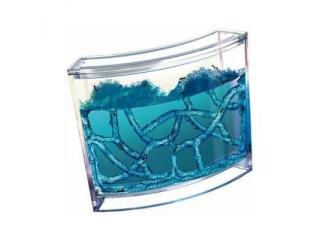 Mravčia akvárium Antquarium - modré