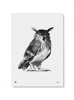 Plagát s motívom sovy Eagle Owl 50x70
