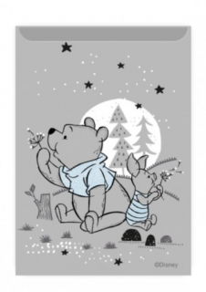 Nalepovacie púzdro na kartu Winnie The Pooh and Friends 002