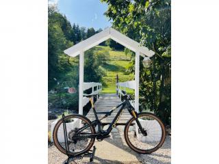 ORBEA RISE M-LTD CUSTOM PAINT L