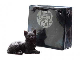 Čierna mačka pre šťastie v darčekovej minitaštičke 2