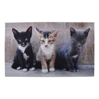 Koberček / rohožka s 3 mačkami