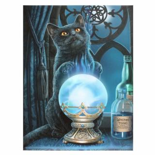 Obraz na plátne s mačkou veštkyňou - design Lisa Parker