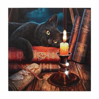 Svietiaci obraz na plátne s mačkou a knihami