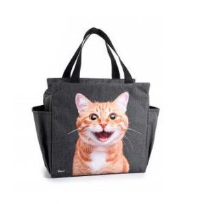 Veľká termo taška s mačkou - 3 varianty zrzavá kočka