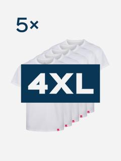 5pack pánskych bielych tričiek AGEN - 4XL