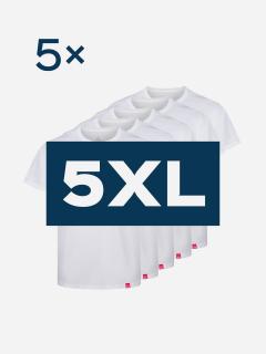 5pack pánskych bielych tričiek AGEN - 5XL