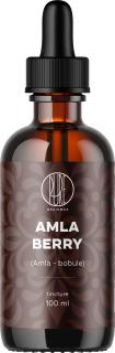 BrainMax Pure Amla bobule, tinktúra 1:2, 100 ml