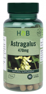 Holland & Barrett Astragalus (Kozinec), 470 mg, 90 kapslí