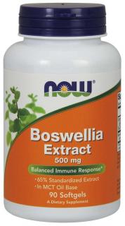 NOW Boswellia Extrakt, 500 mg, 90 softgélových kapsúl
