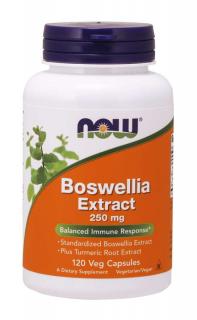 NOW Boswellia Extrakt + Extrakt z kurkumy, 250 mg, 120 vegetariánskych kapsúl