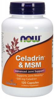 NOW Celadrin a MSM 500 mg, 120 kapsúl