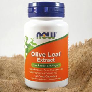 NOW Extrakt z olivových listov, 500 mg x 50 rastlinných kapsúl