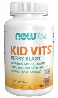 NOW Kid Vits, Berry blast, Multivitamín pre deti, 120 žuvacích pastiliek