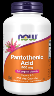 NOW Panthoteic Acid B5 (kyselina pantothenová), 500 mg, 250 rostlinných kapslí
