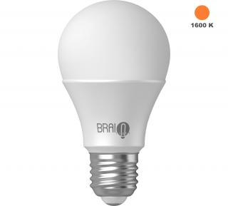 Žiarovka BrainLight Amber Bulb, E27, 7 W, 1600 K