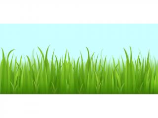 Obvodová dekorácia z jedlého papiera - motív trávnik 3 ks, 82 cm (výška 6,5 cm) Variant: Obrázok 2