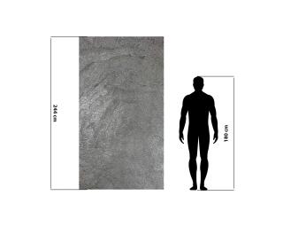 Veľkoformátová kamenná dyha, Silver Grey, 244x122 cm, EDL005