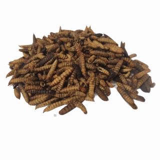 OGF Larvy čierného vojaka Hermetia illucens black soldier fly Darček pre prírodu: NIE, Váha: 2,5 kg