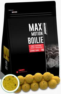 Boilies HALDORADO Max Motion Boilie Long Life 20mm 800g Champion Corn (Boilies HALDORADO Max Motion Boilie Long Life 20mm 800g Champion Corn)
