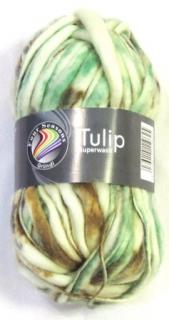 Tulip - Mint multicolor 3418-01