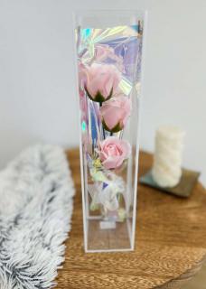 Kytička mydlových ruží Stella 1 (Pink)
