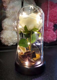 Svietiaca ruža biela v sklenenej dóze (Biela)