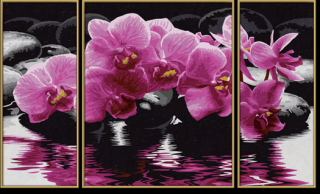 Orchidey (80 x 50 cm) (Maľovanie podľa čísel - Schipper)