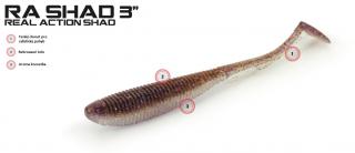 Molix RA Shad 7,6cm