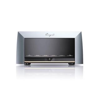 Cayin M-845D (Koncové monobloky pre náročných (cena za pár))