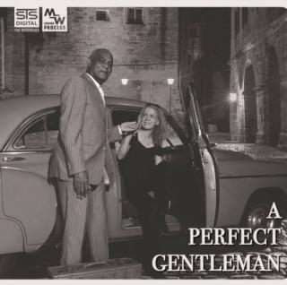 STS DIGITAL A PERFECT GENTLEMAN (Referenčné CD STS Digital)