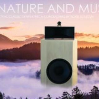 STS DIGITAL NATURE AND MUSIC - BORIS KOUTZEN – ROYAL CLASSIC SYMPHONICA (Referenčné stereo CD - MW Coding)