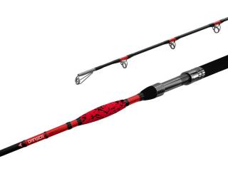 Delphin DANGER CatFISH 285cm/350g/2diely (Delphin DANGER CatFISH 285cm/350g/2diely)