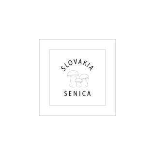 Senica-9001-20x20cm-204g (Panel)