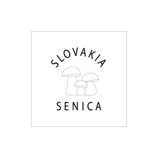 Senica-9001-41x41cm-204g (Panel)