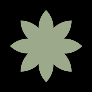 Bazový kvet - bylinná zmes 50g