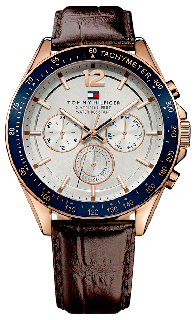 Tommy Hilfiger 1791118 (Hodinky Tommy Hilfiger 1791118)