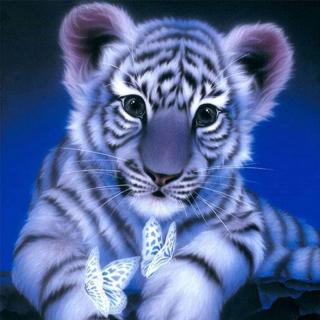Diamantové maľovanie-Biely tigrík