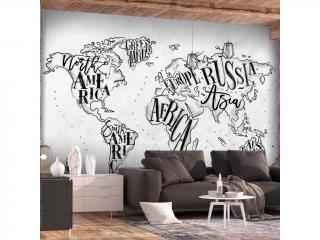 Fototapeta - Retro Continents (Grey)