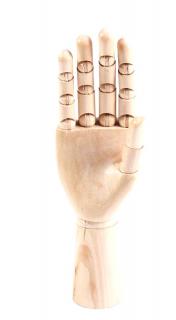Drevený model ruky menšie ELEMENTRIX (DRR)
