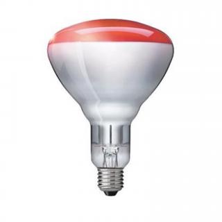 Infračervená žiarovka PHILIPS 100W R95